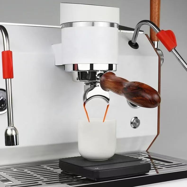 Mesin Espresso Cappuccino Semi - Commercial Espresso Machine 2 Group ulasan dan harga